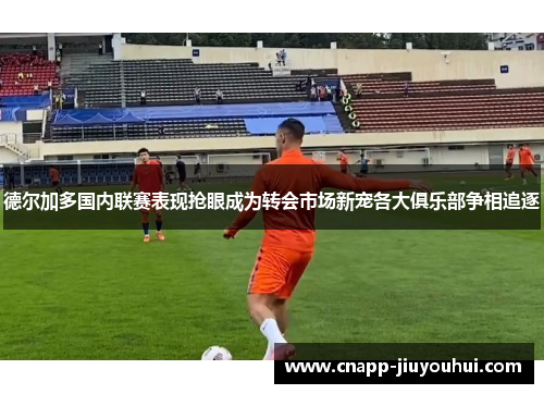 德尔加多国内联赛表现抢眼成为转会市场新宠各大俱乐部争相追逐 德尔加多国内联赛表现抢眼成为转会市场新宠各大俱乐部争相追逐