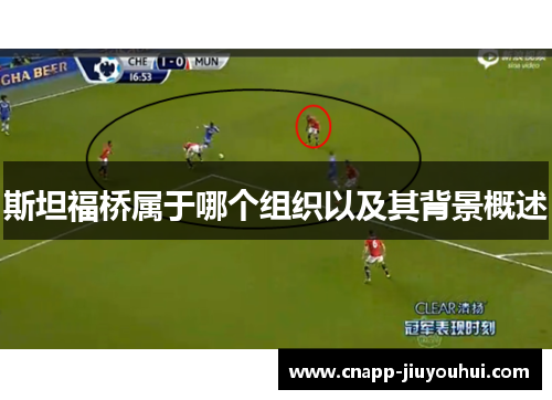 斯坦福桥属于哪个组织以及其背景概述